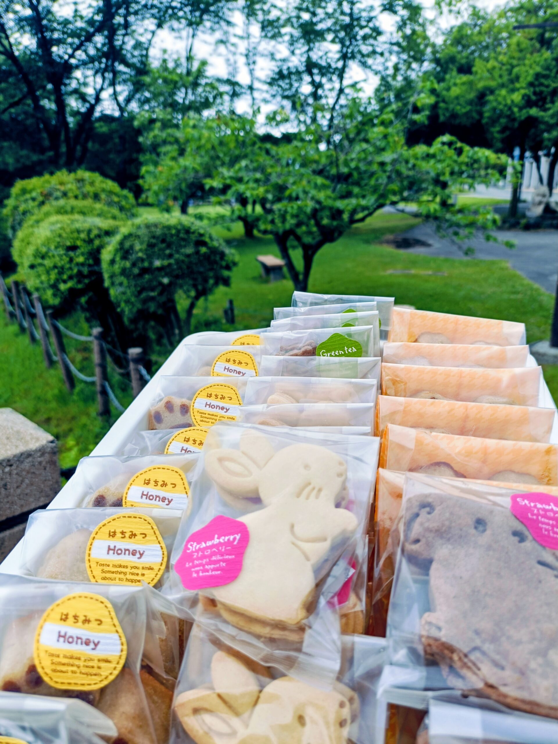 <span>新緑のファミリーパーク</span>