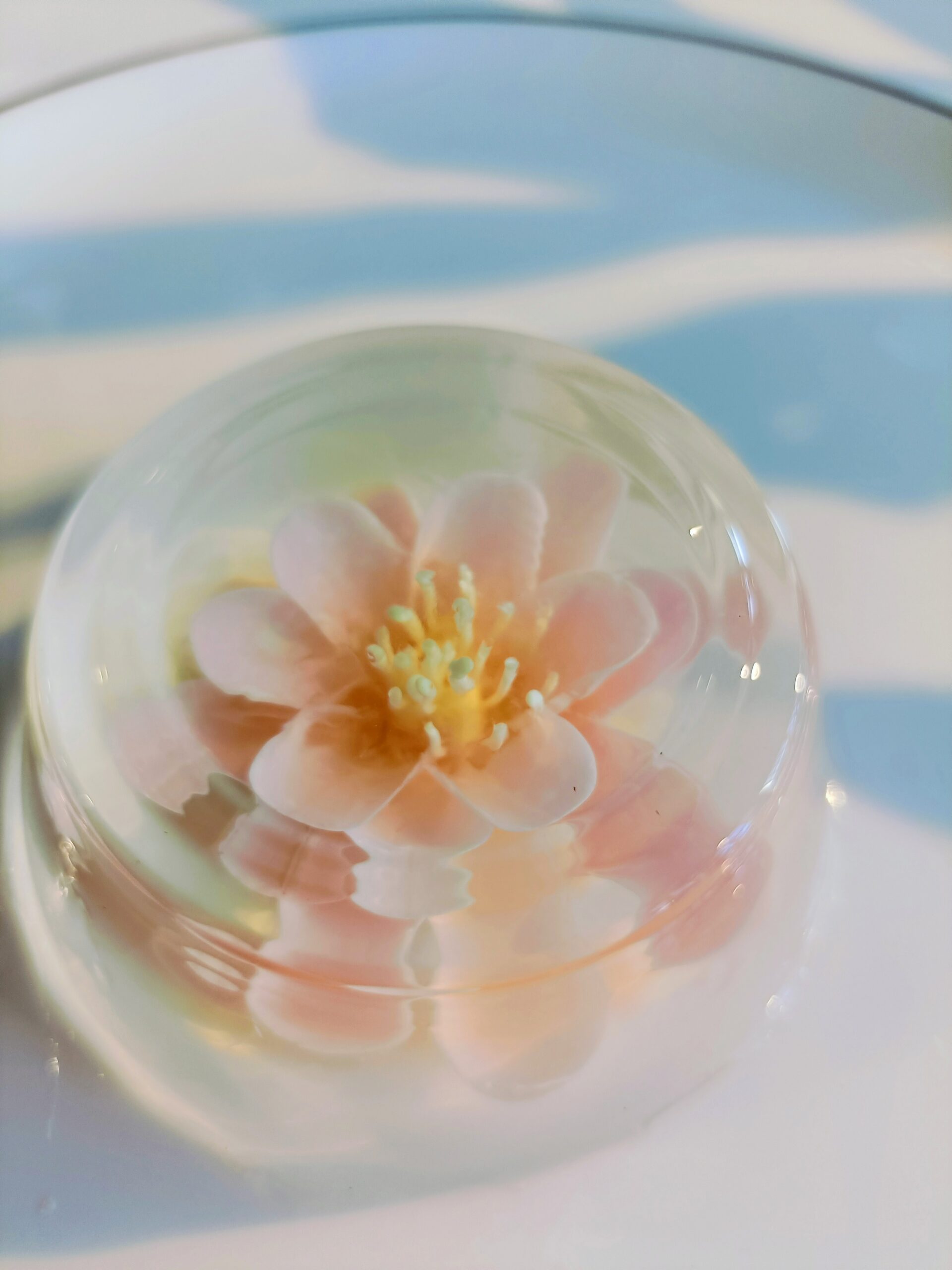 <span>親子で楽しむフラワーゼリー教室</span>